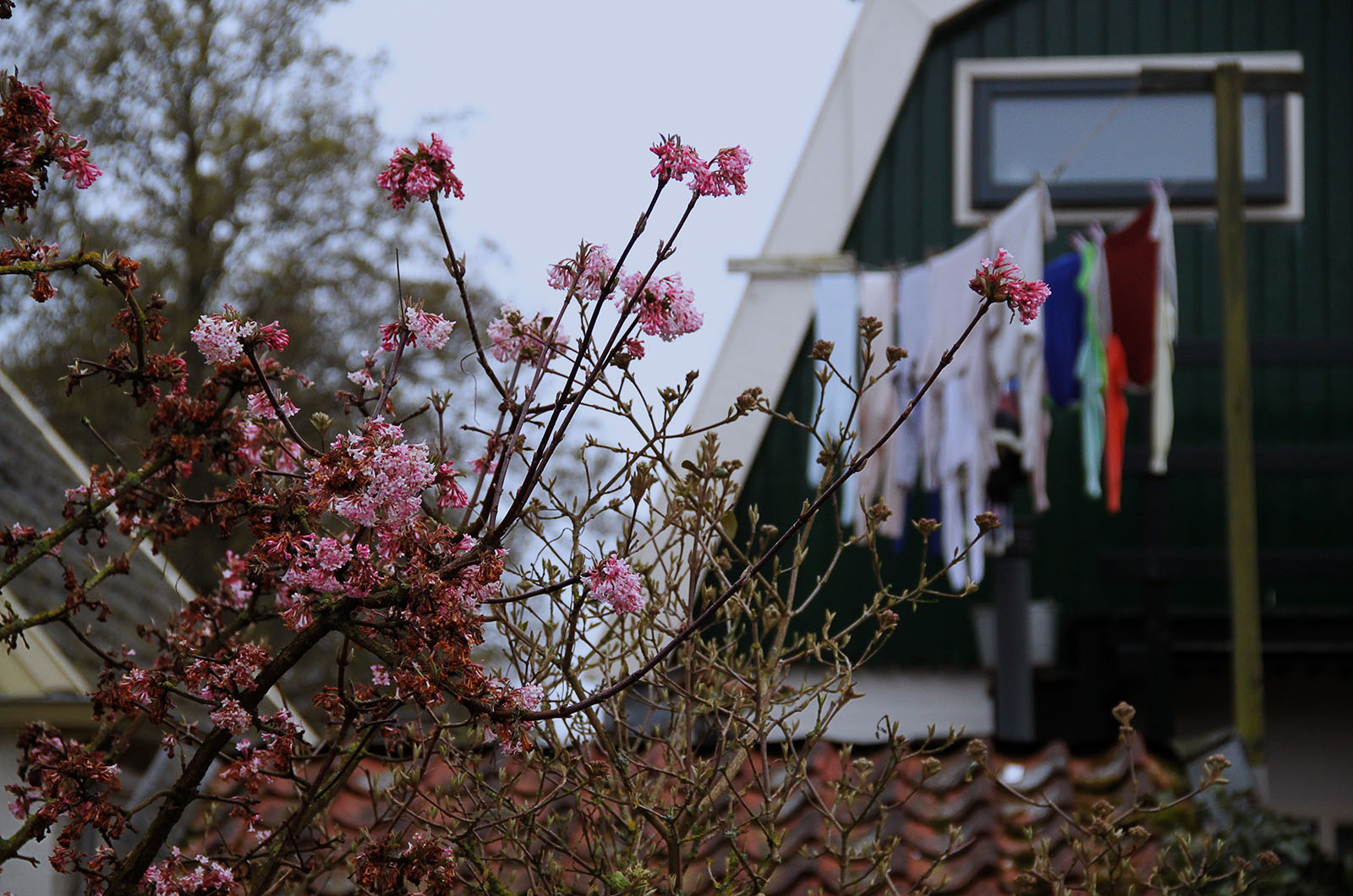 Ik ben erfgenaam van een woning, wat moet ik doen?
