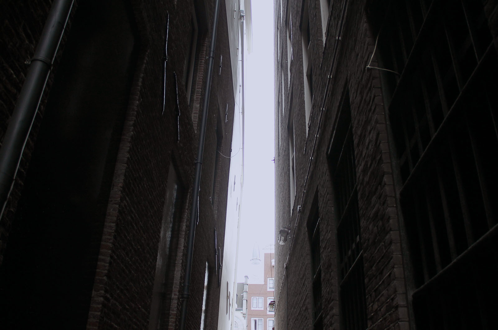 Makelaarsland genomineerd voor Woningmakelaar van het jaar 2012