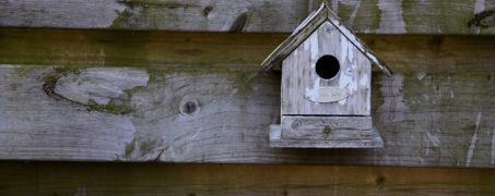 Verdien een deel van je woonlasten terug met Airbnb!