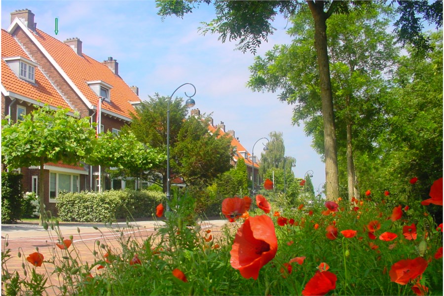 Makelaarsland ervaringen: huis te koop na 30 jaar