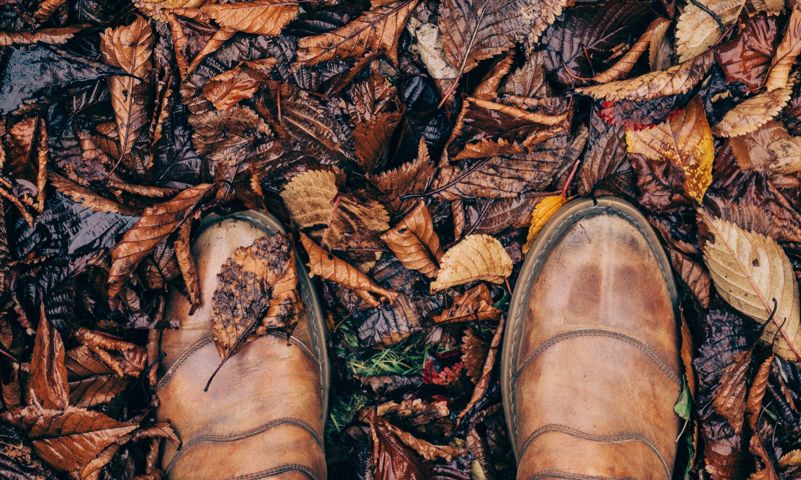 Erfafscheiding: aanleiding tot burenruzie?