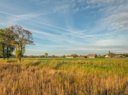 Ik vertrek: de stad uit, naar het groen van Noord-Brabant