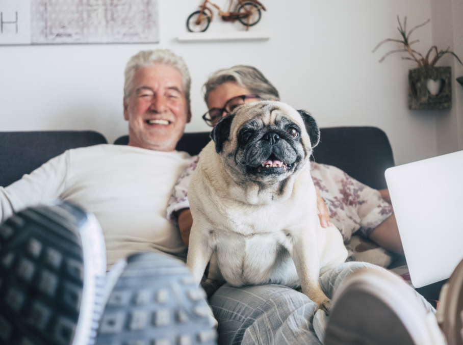 Hoe tevreden waren onze verkopers in 2019?
