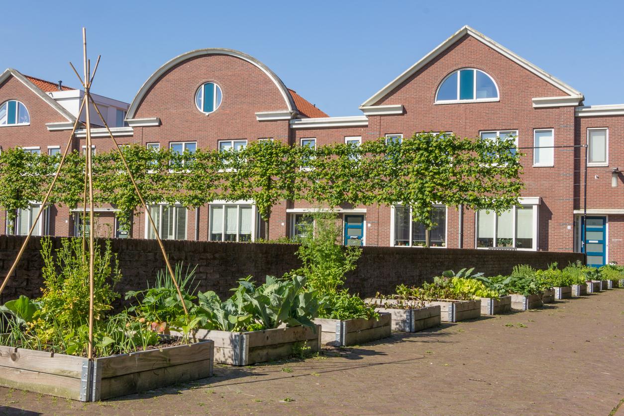 Stadslandbouw