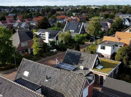 Dé trend van dit moment: een groendak