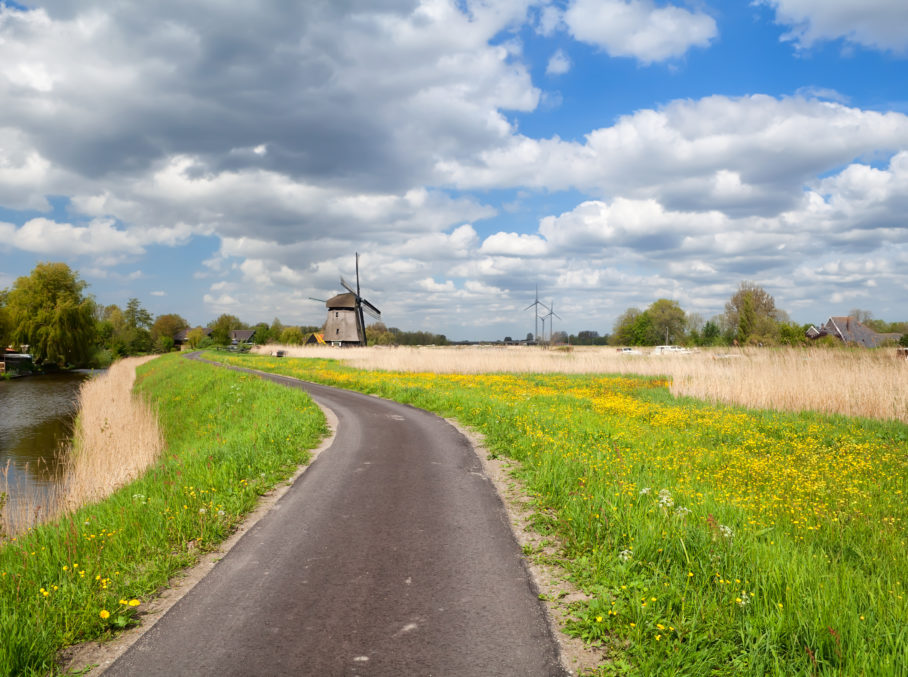 5 x recreatiewoningen