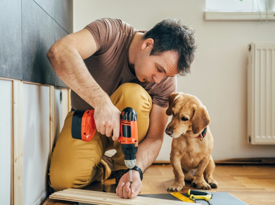 5 x dieren(dag) aan huis