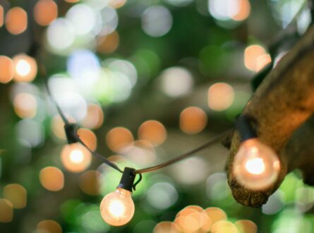 3x Sfeervolle en betaalbare tuinverlichting