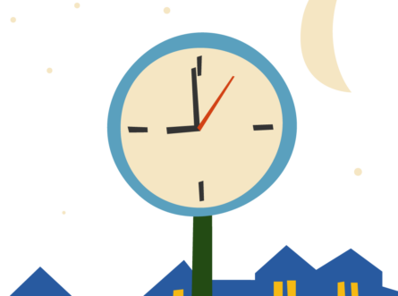 Teddy, de musthave voor in de winter