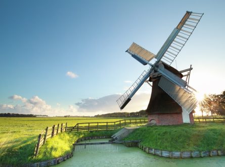 Ik Vertrek: van de Randstad naar het platteland, maar is dat wel nodig voor groen om je heen?
