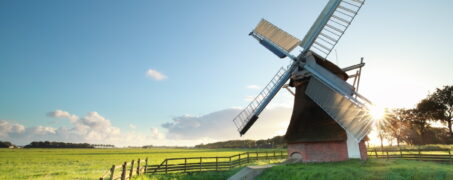 Ik Vertrek: van de Randstad naar het platteland, maar is dat wel nodig voor groen om je heen?
